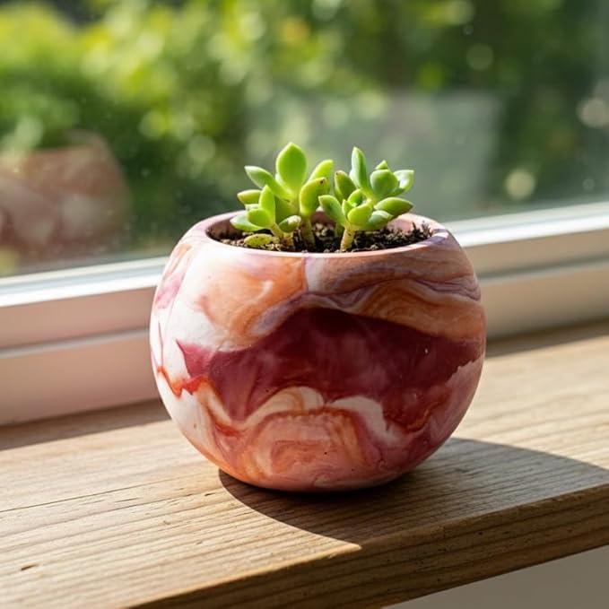 Pink marble textured round succulent planter with a small succulent.
